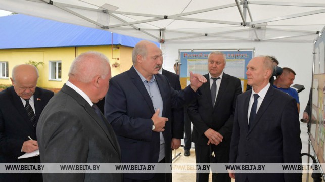 Лукашенко ориентирует регионы на большую самостоятельность в заготовке кормов