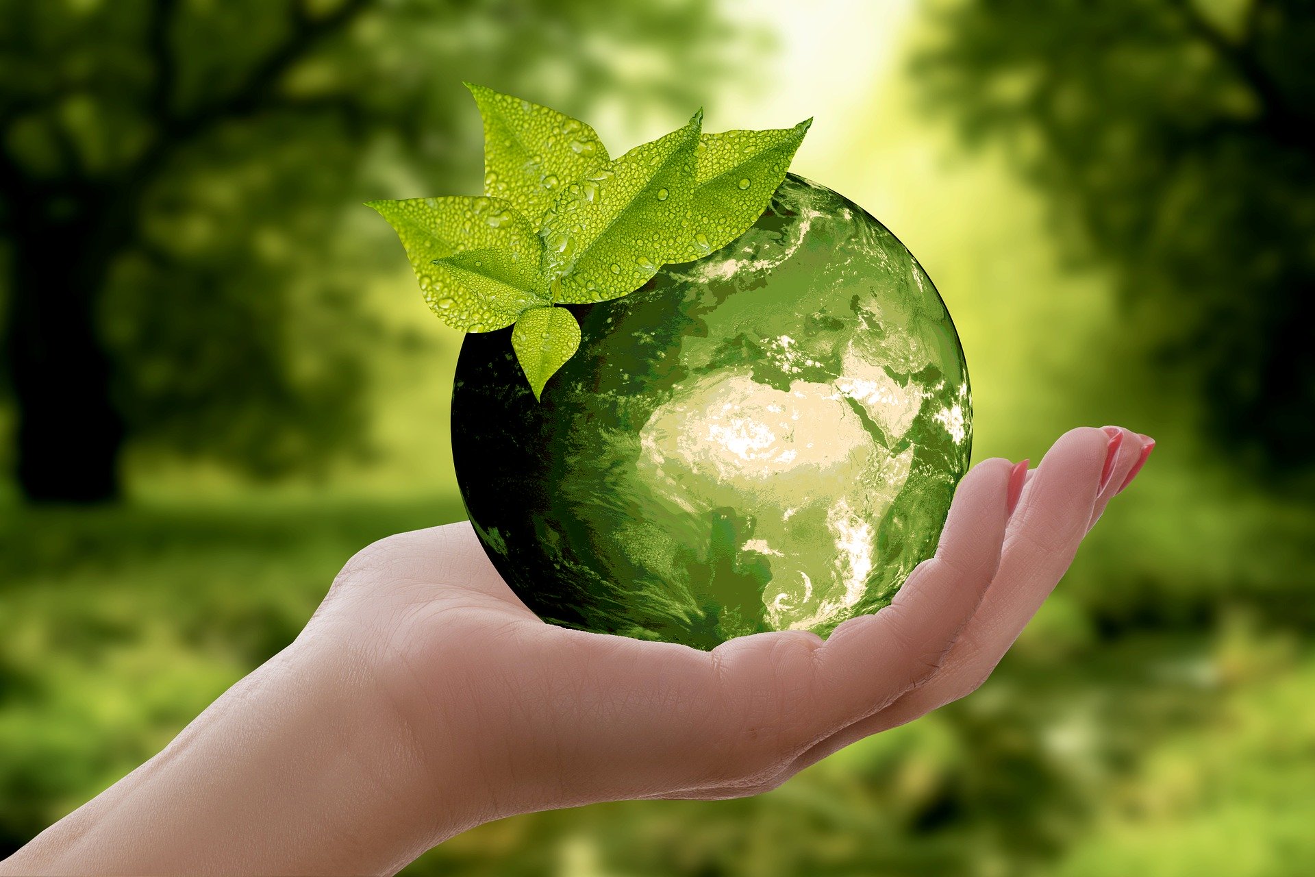 Экологическая кампания «Мирный и созидательный труд  во благо чистой и зеленой страны!»