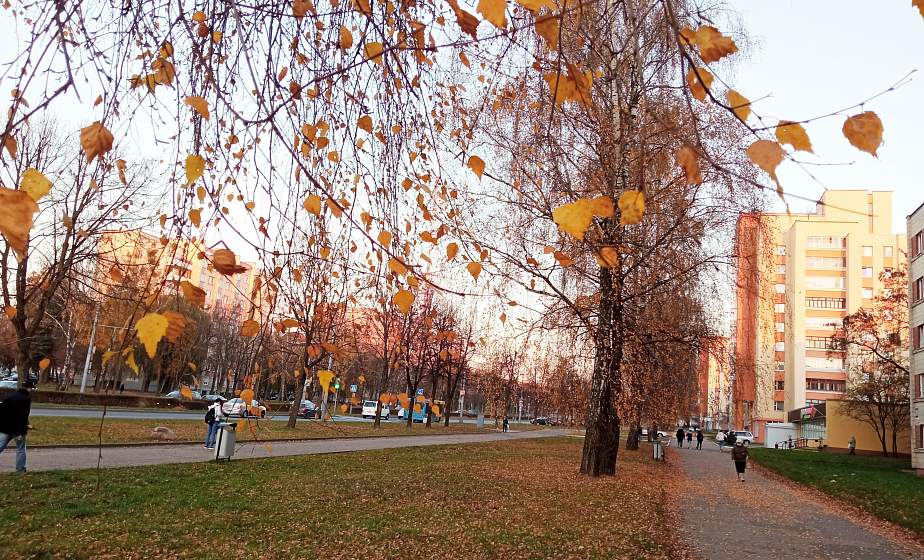 Какой будет погода в ноябре в Беларуси