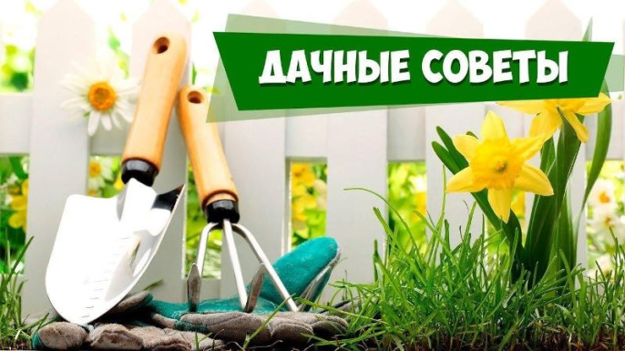 Осенний почин Осенний почин