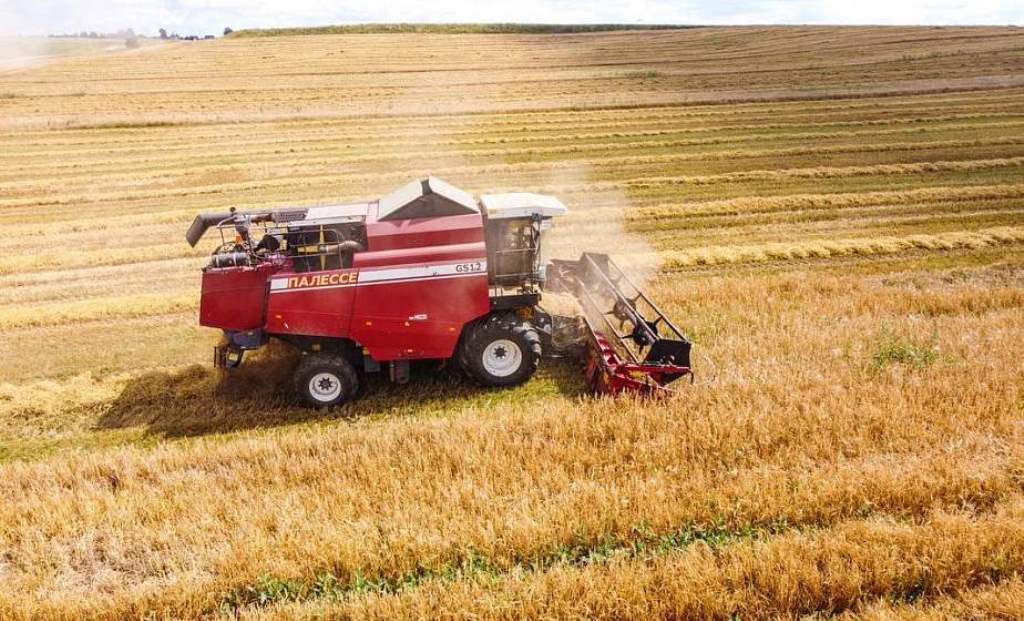 В Беларуси намолочено свыше 6 млн тонн зерновых колосовых, зернобобовых и рапса