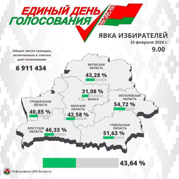 ЦИК: явка избирателей на выборах депутатов на 9.00 составила 43,64%