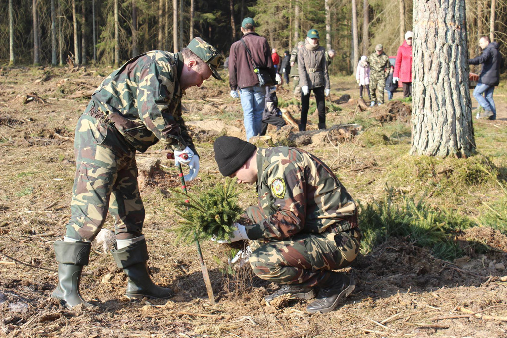 Сморгонский лесхоз открыл акцию «Неделя леса»