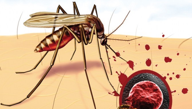 25 апреля–Всемирный день борьбы с малярией
