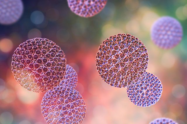 В Сморгонском районе в 2020 году зарегистрированы 3 случая ротавирусной инфекции и 2 случая сальмонеллеза