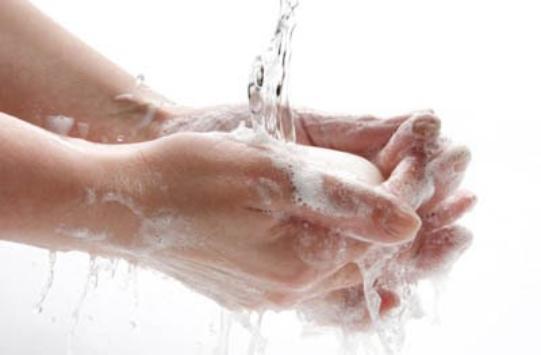 Гигиена рук – чистые руки и здоровый организм