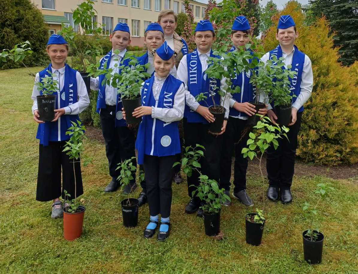 Аллея «Сирень Победы – Сад Мира» появилась на территории Жодишковской средней школы