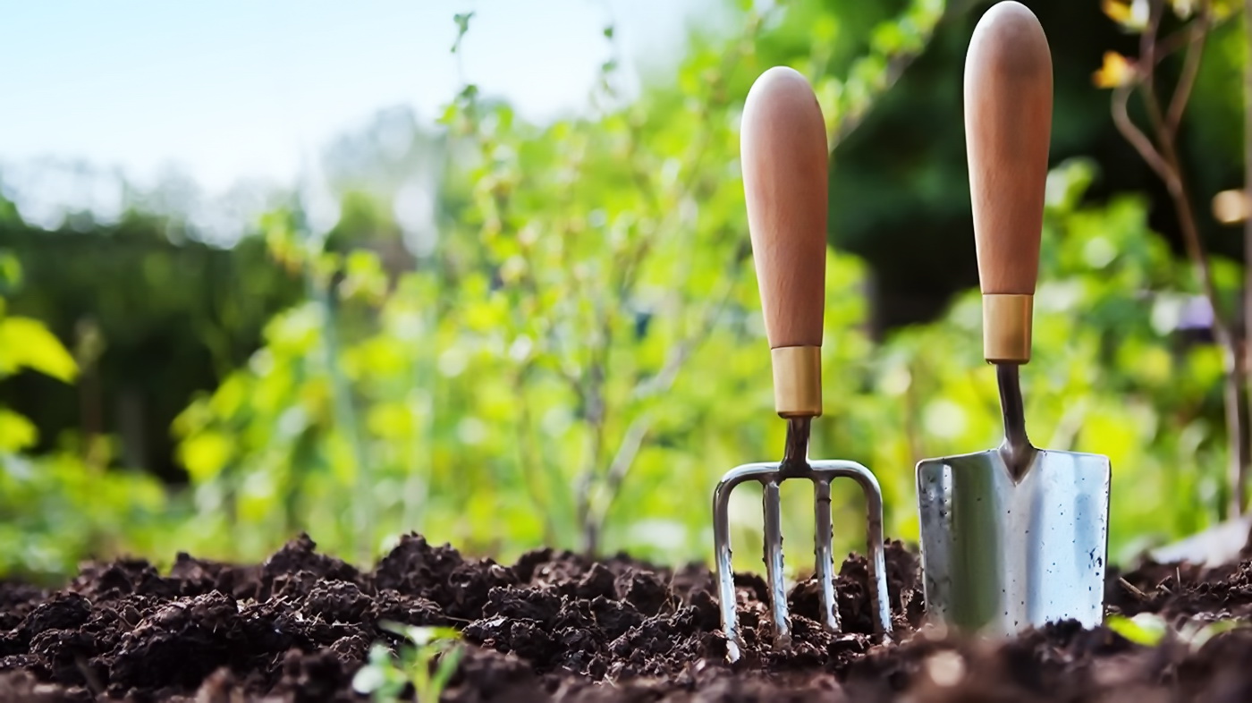 Апрель весну торопит: какие садовые работы можно делать