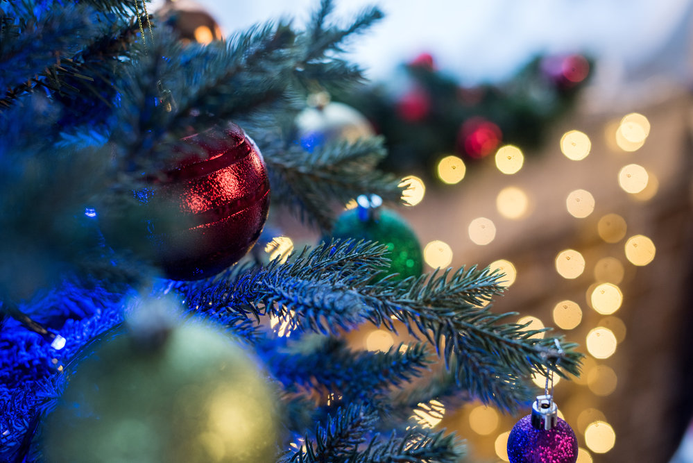 Новогодние ёлки в Сморгони начнут продавать с 20 декабря