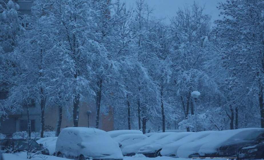 МЧС Беларуси предупреждает об усилении морозов