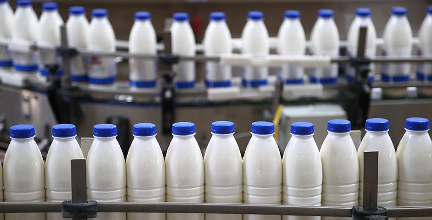 Беларусь намерена наращивать поставки мясо-молочной продукции в Узбекистан