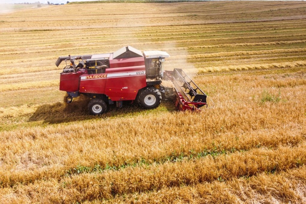 В Беларуси намолочено 6,6 млн тонн зерновых колосовых, зернобобовых и рапса