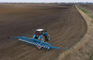 Белорусские аграрии завершили посадку овощей на сельскохозяйственных угодьях