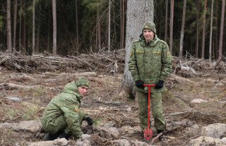 «Чтобы в будущем шумели сосны и ели»: военнослужащие и активисты БРСМ сажают лес