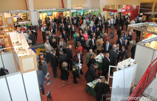 XX Republican Universal Exhibition-Fair "Euroregion" Neman-2019", International Business Forum "Euroregion" Neman-2019»