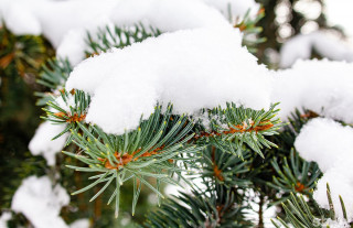 Погода 6 декабря: снег, местами гололед и до -13 °С