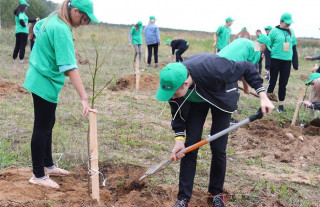 Новые парки, аллеи и сады: в Беларуси стартует экологическая акция «Дерево героя»