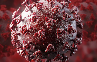 Китайские ученые разработали экспресс-тест, способный за 4 минуты выявить коронавирус