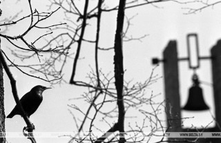 По ком звонят колокола Хатыни… 22 марта исполняется 79 лет со дня Хатынской трагедии. Знай и помни!