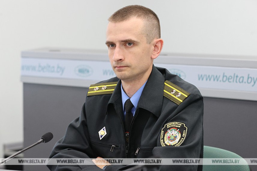 С начала года произошло более 1,8 тыс. ДТП с участием диких животных