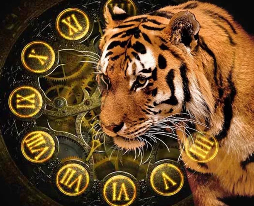 Что нас ждёт в год Черного Тигра? 