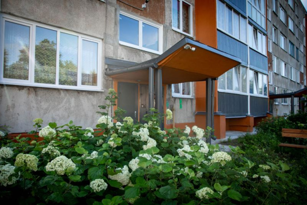 Прежде чем разбивать клумбу у подъезда – прочтите это обязательно!