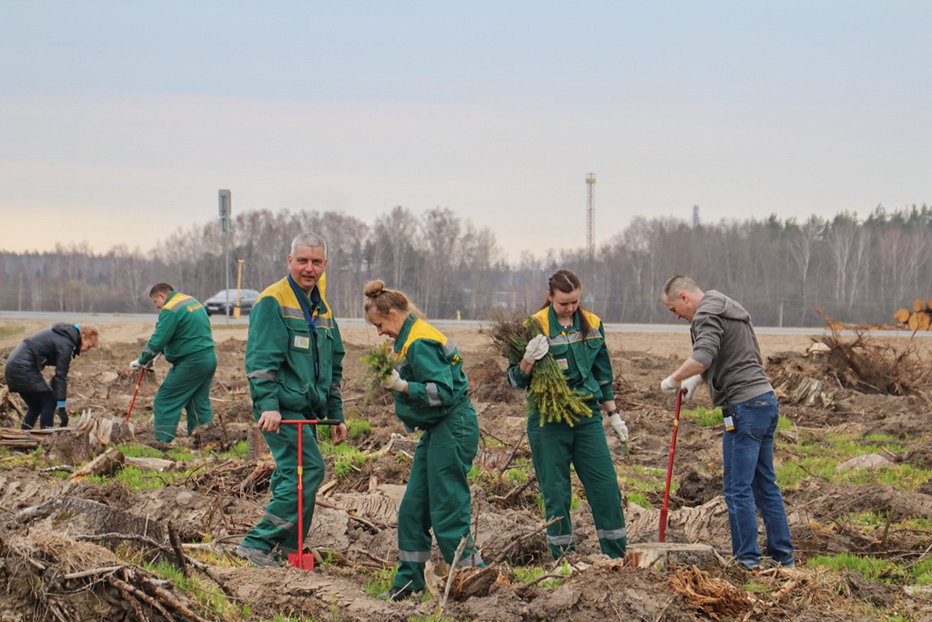  «Да будет лес!»: работники ООО «Белагротерминал» сажали ели и ольху 