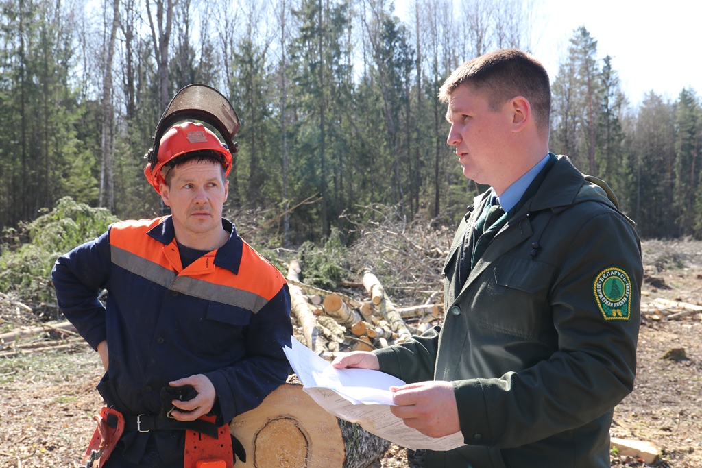 В Сморгонском опытном лесхозе новый главный лесничий – Андрей Шиковец