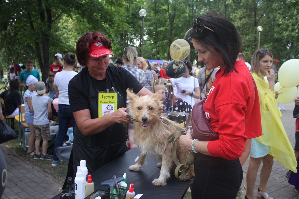В городском парке прошла благотворительная акция в помощь животным