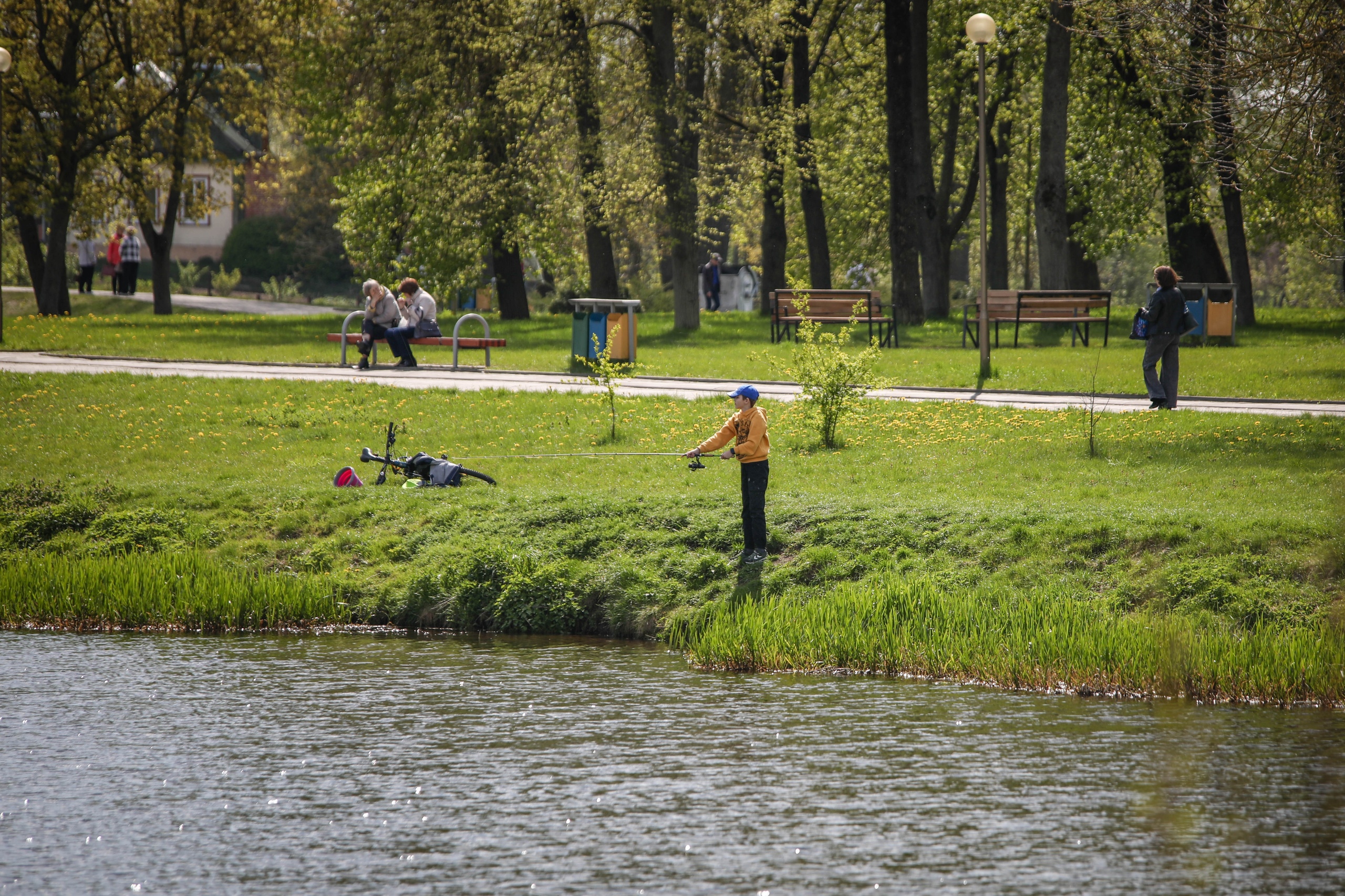  ФОТОФАКТ: Солнечный день в городском парке