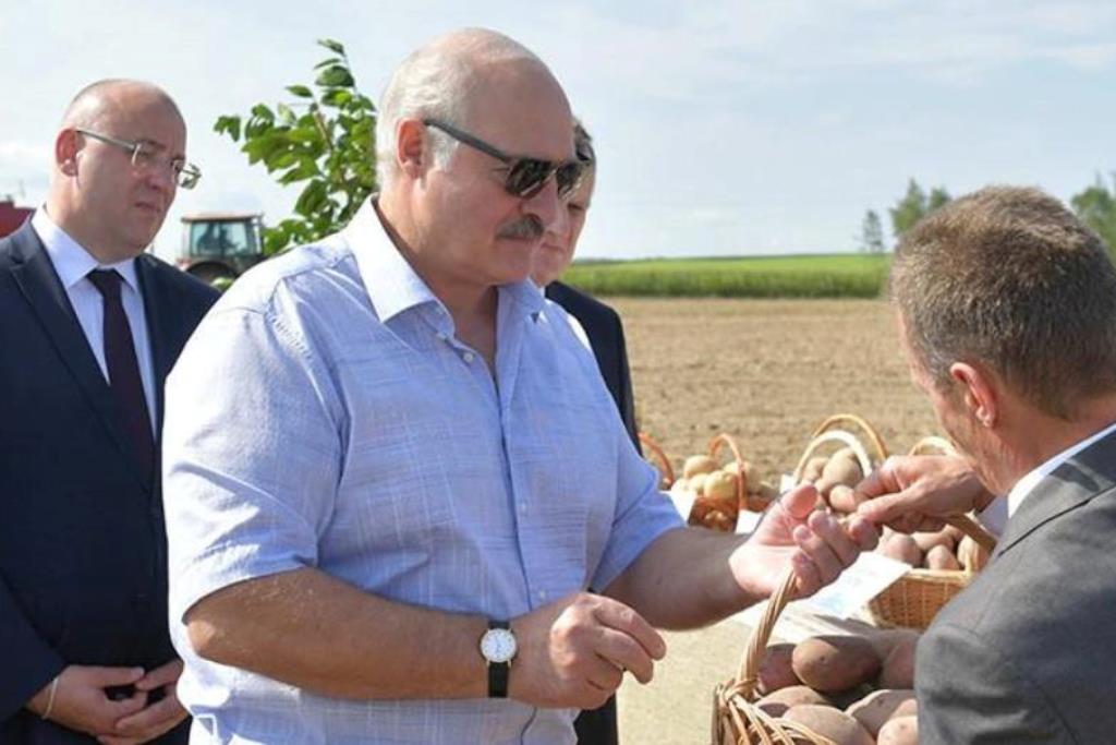 "Это дороже нефти". Как Александр Лукашенко сделал картофель национальным продуктом Беларуси