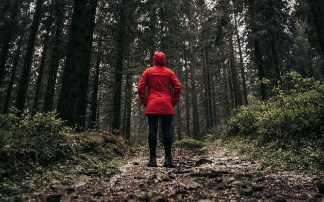 Если заблудился в лесу