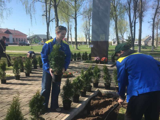 Возле братской могилы советских воинов в аг. Солы появилась аллея из туй