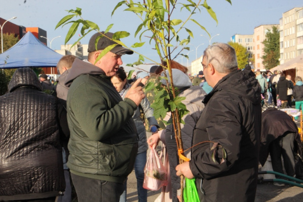 «Щедрой осени дары»: как в Сморгони проходит осенняя ярмарка
