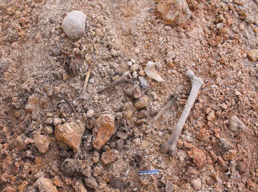 В Сморгони во время земляных работ обнаружены костные останки времен ВОВ