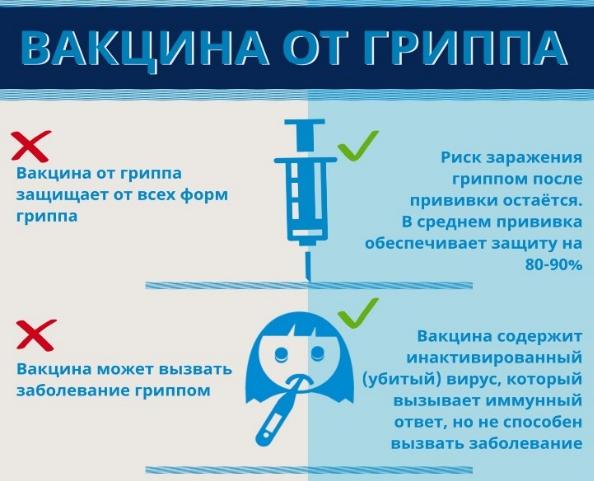 ПРОФИЛАКТИКА ГРИППА И КОРОНАВИРУСНОЙ ИНФЕКЦИИ