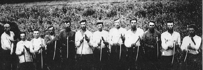 От косы и серпа до полной механизации