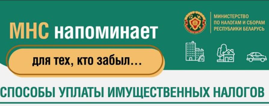 МНС напоминает