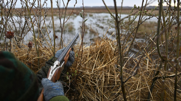  Особенности охоты на водоплавающую дичь