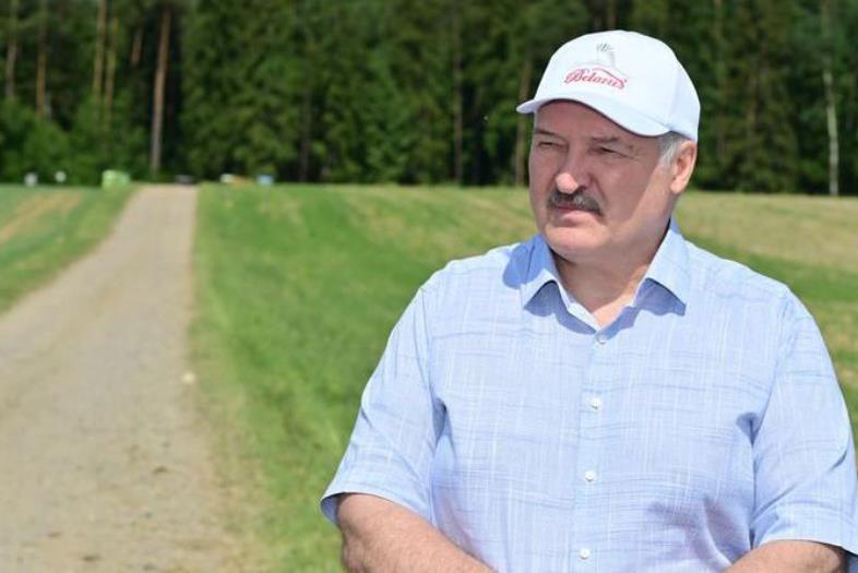 Переломный момент в сельском хозяйстве. Какой сельхозкультуре Александр Лукашенко уделяет особое внимание