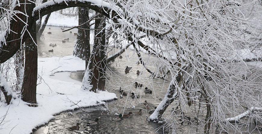 На реках Беларуси отмечается спад уровней воды