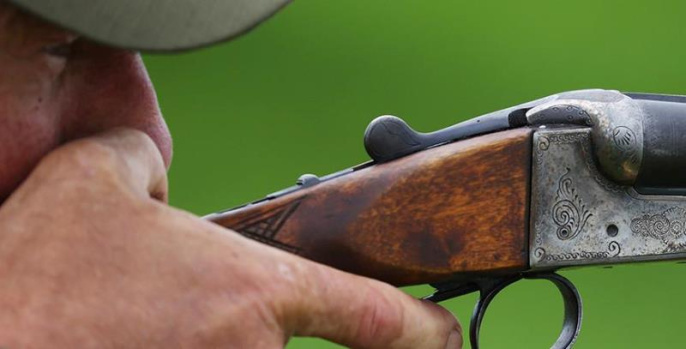 Первую за 40 лет рысь добыли на охоте в Беларуси