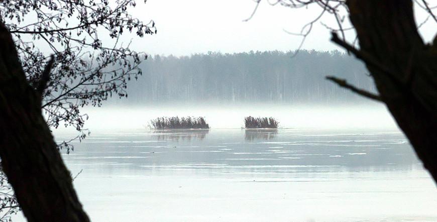Туман и гололедица ожидаются в Беларуси 24 января