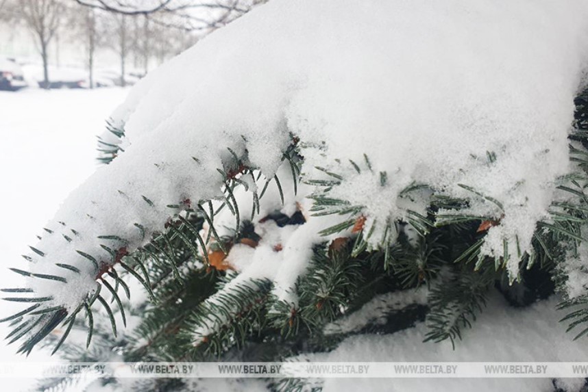 Слабый туман, снег и гололедица будут сегодня в Беларуси