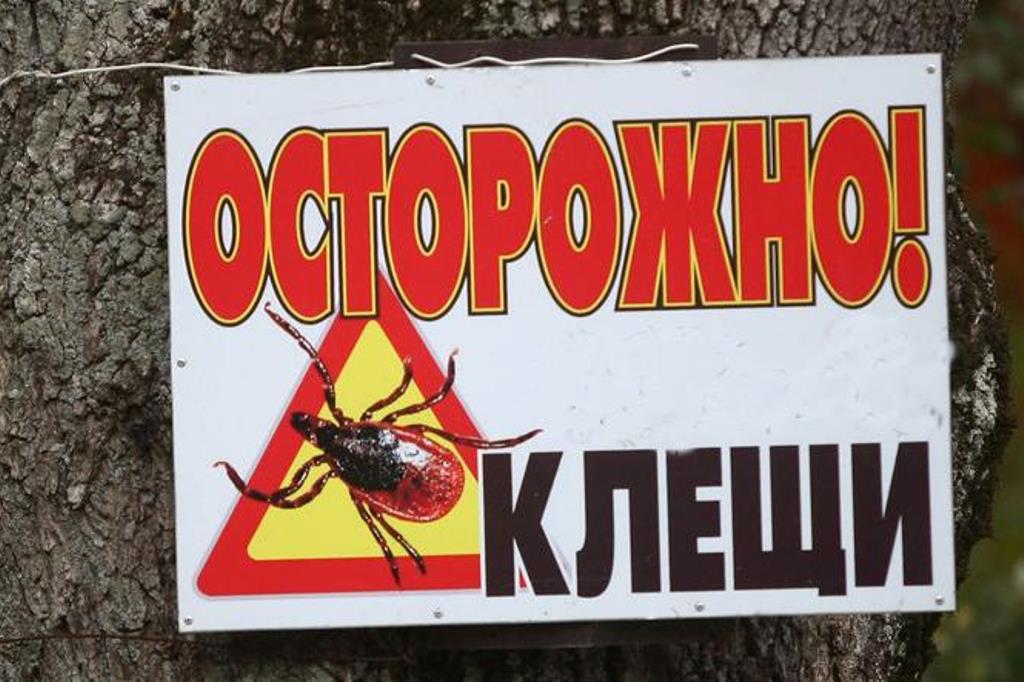 Более 100 случаев клещевого энцефалита и боррелиоза зарегистрировано в Гродненской области за сентябрь