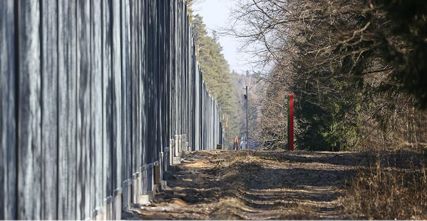 Забор в Беловежской пуще: Беларусь заявила о нарушении Польшей положений конвенции ЮНЕСКО