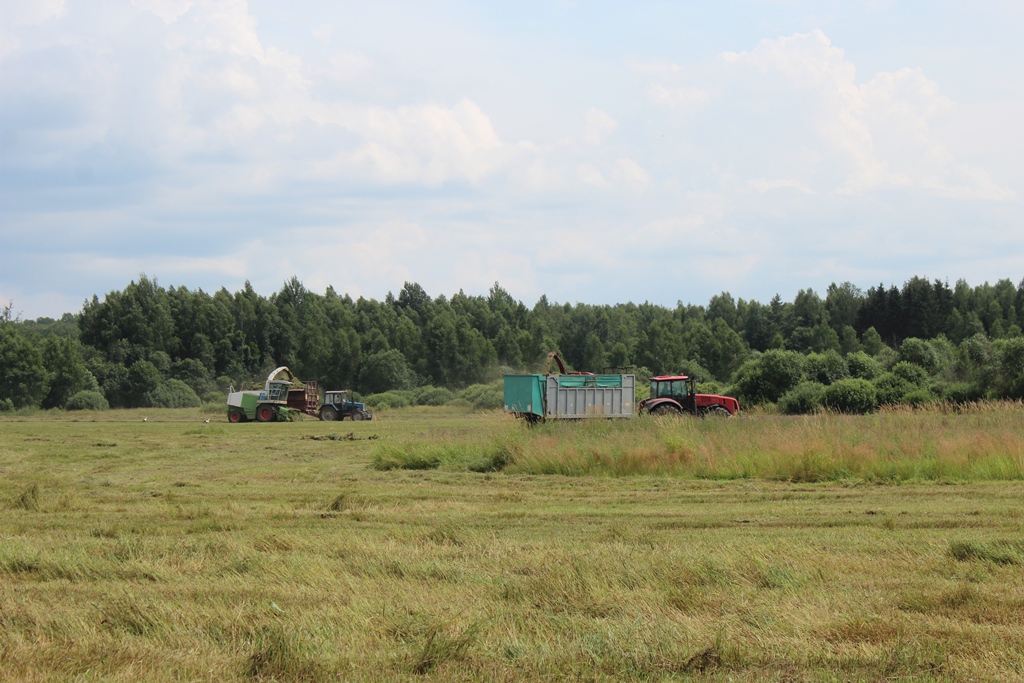 На Сморгонщине продолжается заготовка кормов 