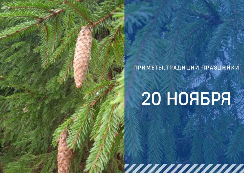 Приметы 20 ноября: что делать в Федотов день, чтобы поймать удачу Приметы 20 ноября: что делать в Федотов день, чтобы поймать удачу