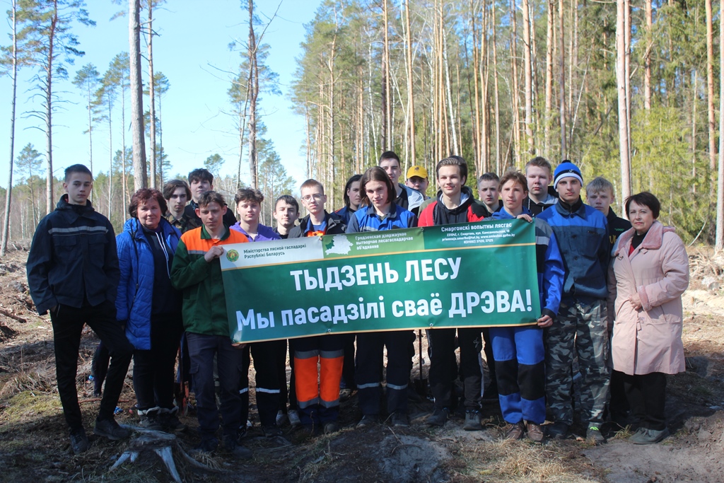 Учащиеся лицея присоединились к акции «Неделя леса»