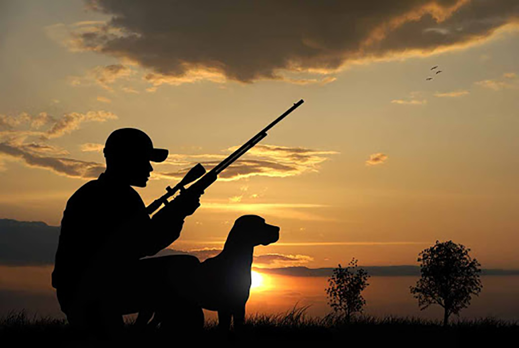 С 15 мая по 30 сентября текущего года открывается сезон охоты на косулю